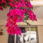 Casa Marten Nyaraló *