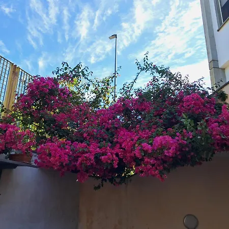 Nyaraló Casa Marten Lequile